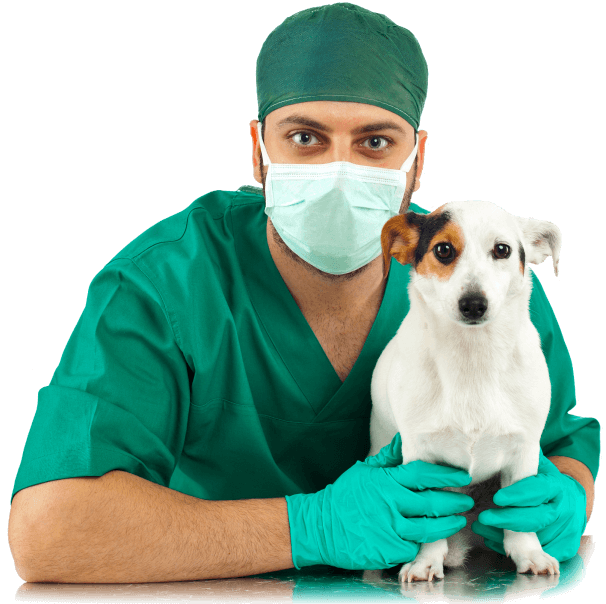 ecofine-h-10-hero-img2